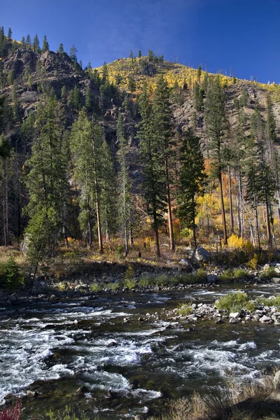Podzim barvy wenatchee river žluté stromy hora stevens pass l — Stock fotografie