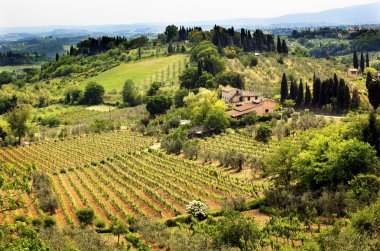 Tuscan Farm Vineyard San Gimignano Tuscany Italy clipart