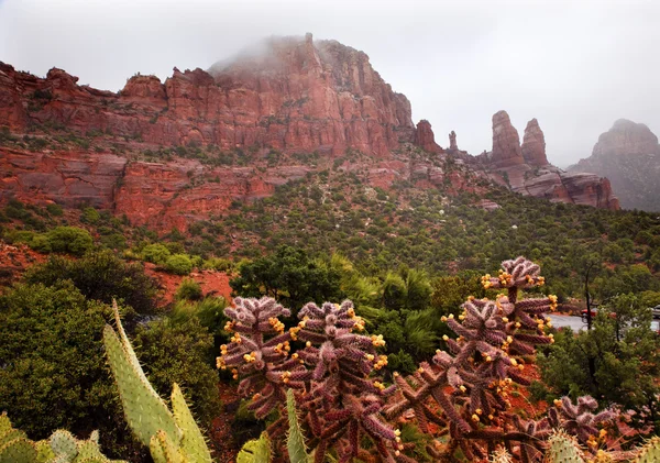 Madonna a jeptišky red rock canyon déšť mraky sedona arizona — Stock fotografie