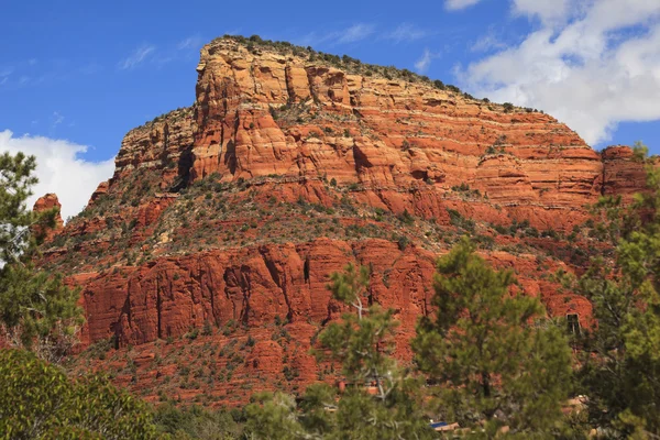 Red rock canyon beetje horse park sedona arizona — Stockfoto