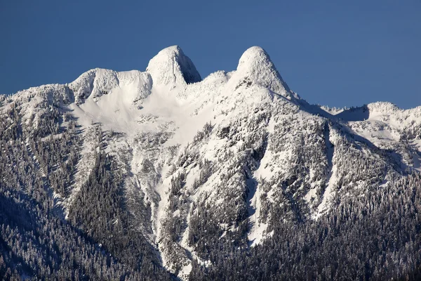 Vancouver snöiga två lejon berg british columbia — Stockfoto