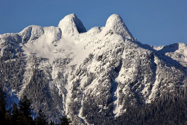 Vancouver zasněžené dva lvi hory Britská Kolumbie — Stock fotografie