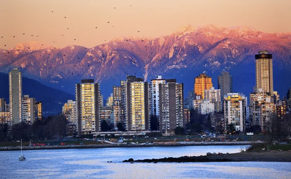 Vancouver Skyline Harbor English Bay Birds Snow Mountains Sunset — Stock Photo, Image