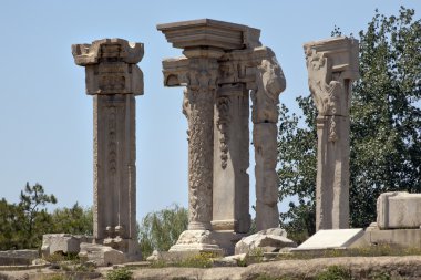 antik kalıntılar ayağı eski yaz Sarayı yuanming yuan yaşlı beijin