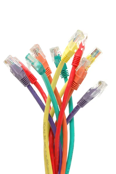 Multi color network cables — Stock Photo, Image