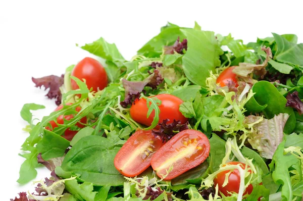 Grönsallad och tomater — Stockfoto