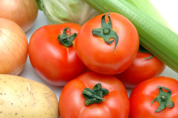 Zbiory warzyw - pomidor — Zdjęcie stockowe