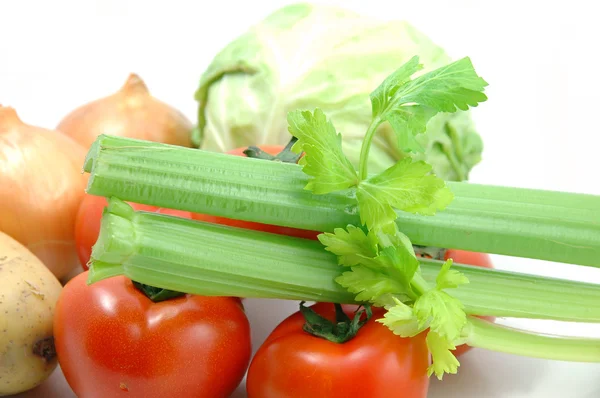 Zeleninové collection - celer — Stock fotografie