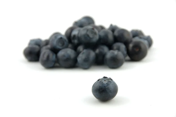 Blueberry stand out — Stock Photo, Image