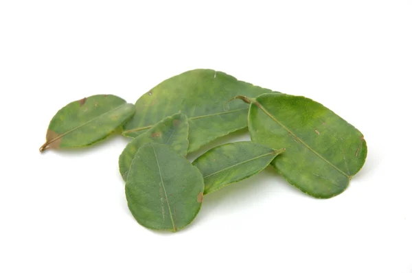 Lime leaves — Stock Photo, Image
