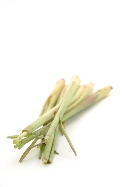 Trawy cytrynowej — Zdjęcie stockowe