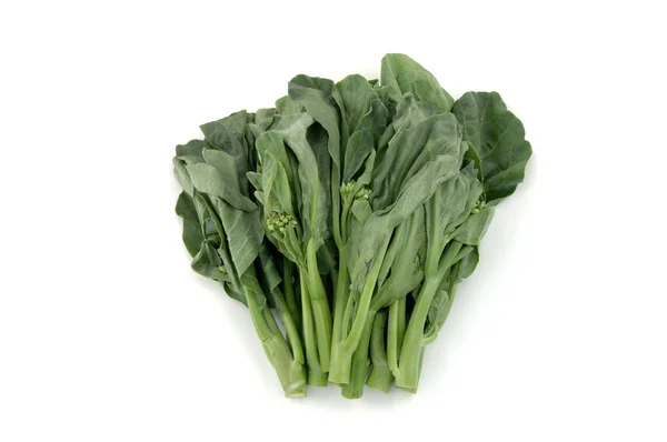 Chinese broccoli — Zdjęcie stockowe