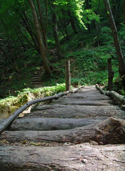 Drewnianym moście — Zdjęcie stockowe