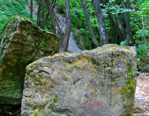 Камни в лесу — стоковое фото