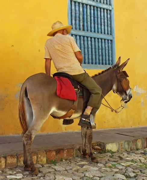 Hombre cubano en burro — Foto de Stock