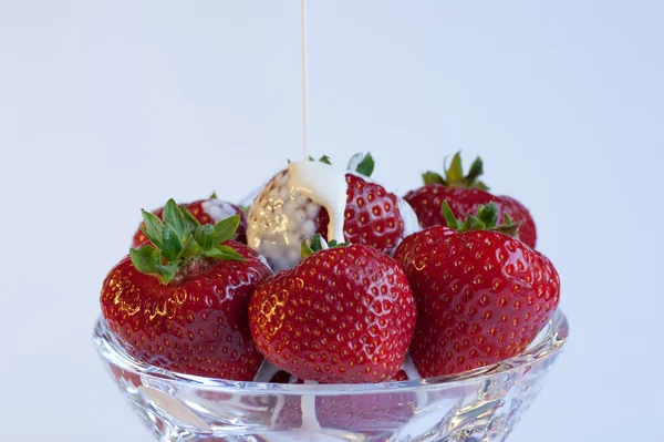 stock image Strawberries and Cream