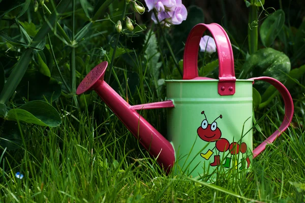 stock image Watering Can