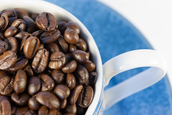 Coffee Beans in a Cup — Stock Photo, Image