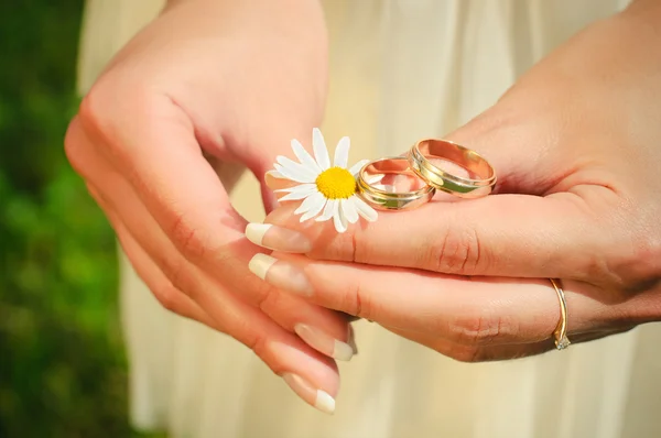 Anéis de casamento em mãos da noiva em uma camolina — Fotografia de Stock