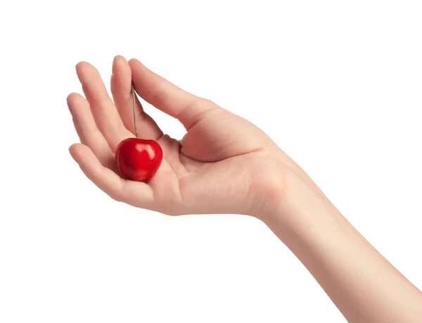 One sweet cherry in a hand. — Stock Photo, Image