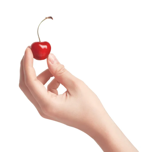 One sweet cherry in a hand. — Stock Photo, Image