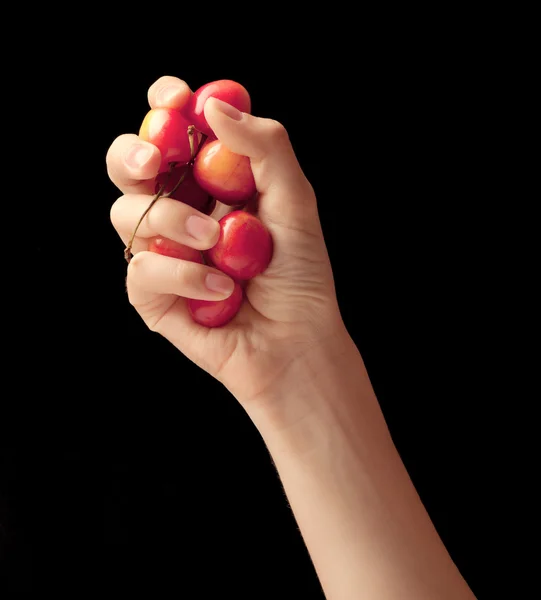 Handful of sweet cherries in a hand — Stock Photo, Image