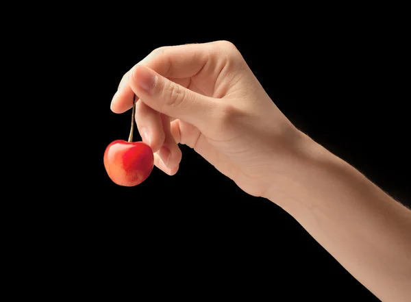 一只手上的一个甜樱桃。. — 图库照片
