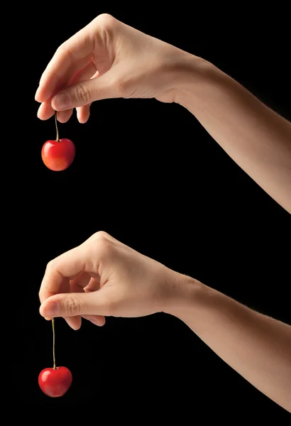 One sweet cherry on a hand. — Stock Photo, Image