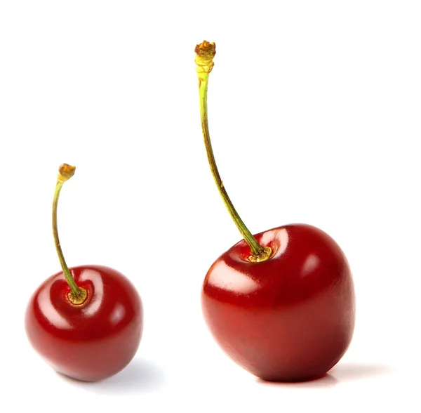 Deux cerises rouges — Photo