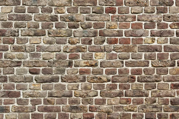 Stock image Old brick wall