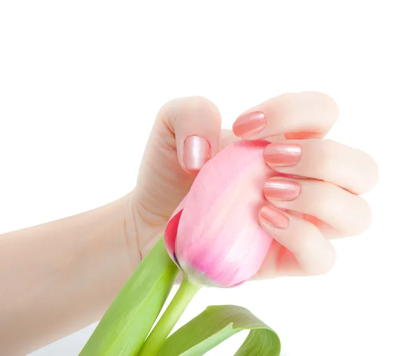Nahaufnahme rote Tulpen isoliert auf weiß — Stockfoto