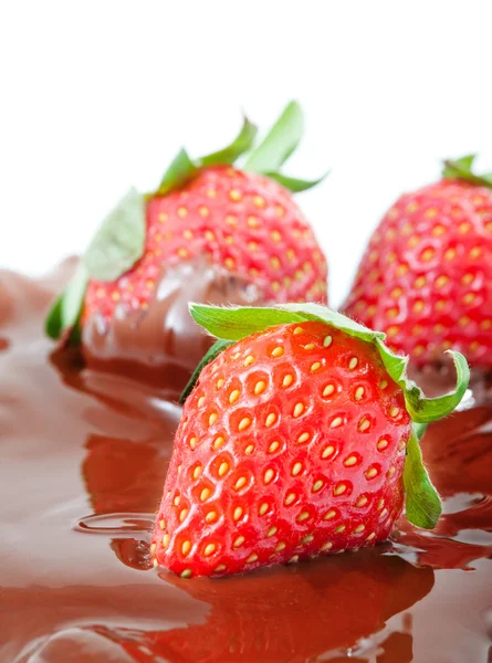 stock image Strawberry in chocolate