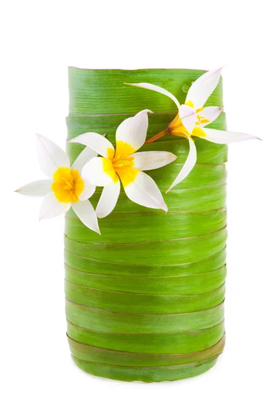 Natural vase isolated on white — Stock Photo, Image