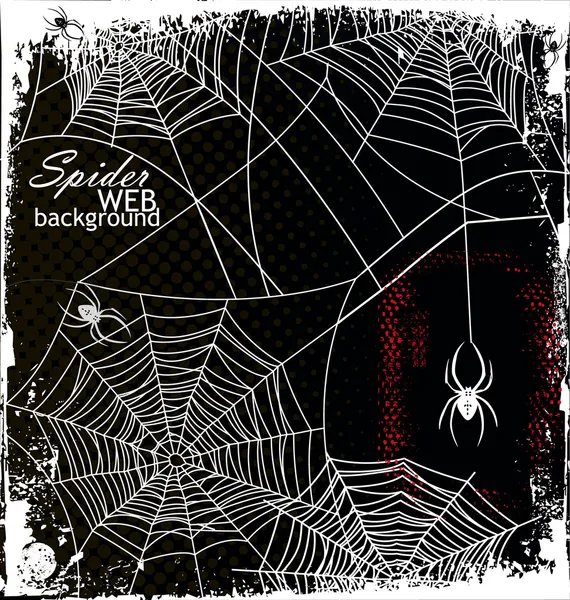 Spinnennetzhintergrund — Stockvektor