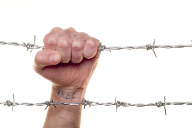 Fist & barbed wire clipart