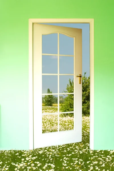 Louka a otevřené dveře — Stock fotografie