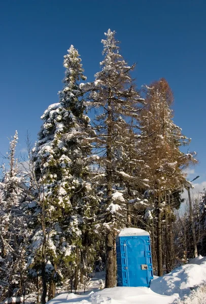 Bio-toalett i djupa skogen — Stockfoto