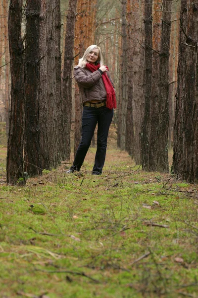 Молодые одинокие женщины в лесу — стоковое фото