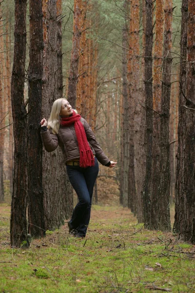 Jóvenes mujeres solas en el bosque — Foto de Stock