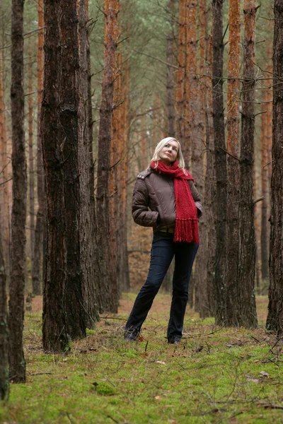 Молоді самотні жінки в лісі — стокове фото