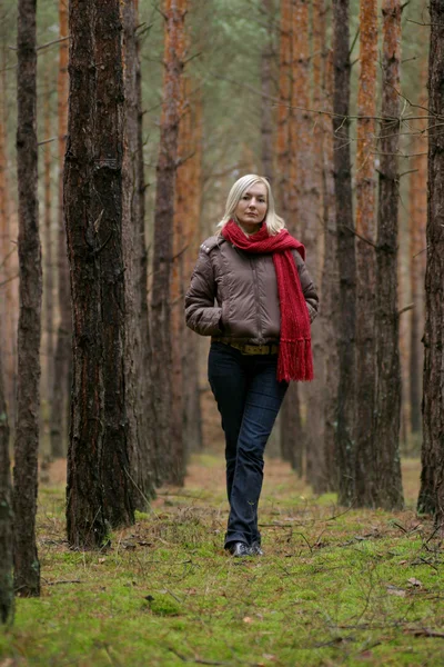 Mladé ženy sám v lese — Stock fotografie