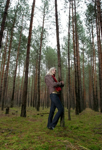Junge alleinstehende Frauen im Wald — Stockfoto