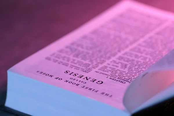 Öppna Bibeln — Stockfoto