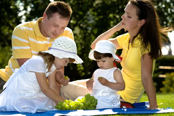 Detailní portrét šťastného rodinného pikniku — Stock fotografie
