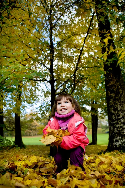 Holčička v podzimním parku — Stock fotografie