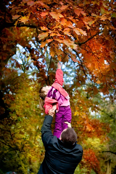 Klein meisje in het herfstpark — Stockfoto