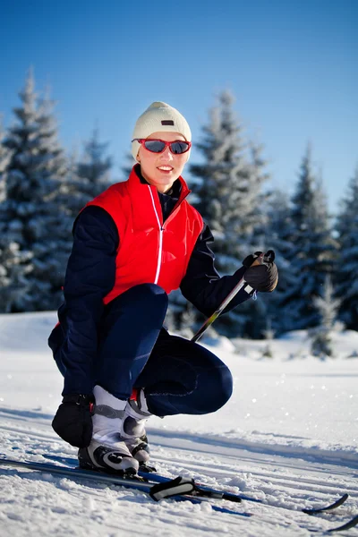 クロスカントリー スキー — ストック写真