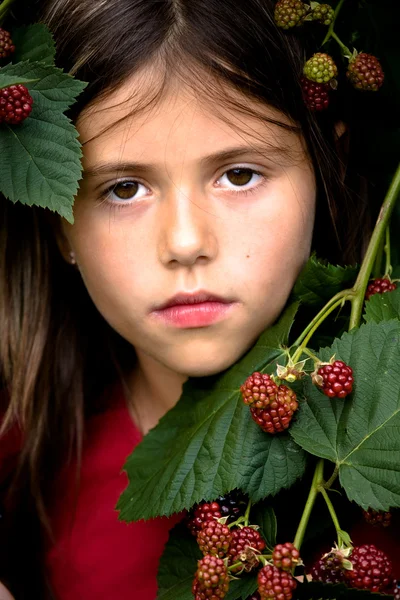 女孩零售业之黑莓 — 图库照片