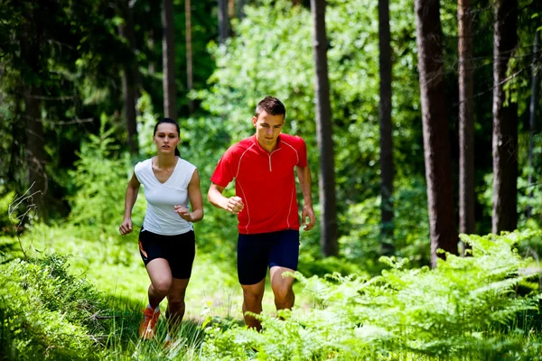 Jogging in forest — Stock Photo, Image