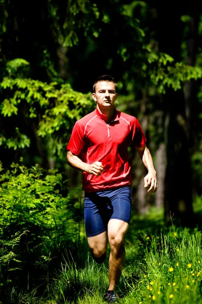 ジョギングの男性 — ストック写真